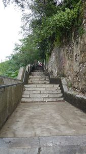 Stopnice Petra Kruzića; avtor: Tripadvisor; vir: https://www.tripadvisor.co.uk/Attraction_Review-g297516-d11445125-Reviews-Stube_Petra_Kruzica-Rijeka_Primorje_Gorski_Kotar_County.html